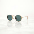 Tortoise acetate sunglasses